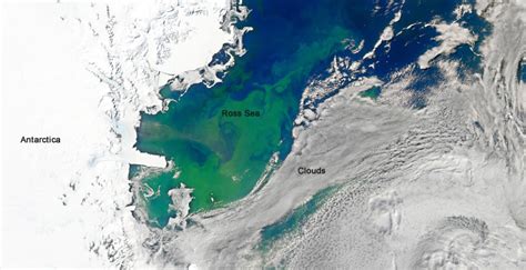 Satellite Images of Phytoplankton Blooms in Earth’s Oceans