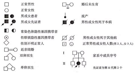 遗传家系图代表意思以及绘制技巧 - 组学大讲堂问答社区