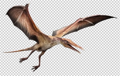 Flying Pterodactyl Isolated on Transparent Background | Premium AI-generated PSD