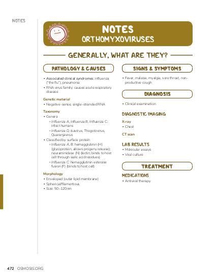 Orthomyxoviruses Notes: Diagrams & Illustrations | Osmosis