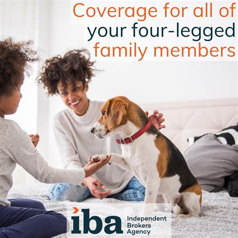 Pet Insurance: An Update to IBA's Coverage Options - IBA