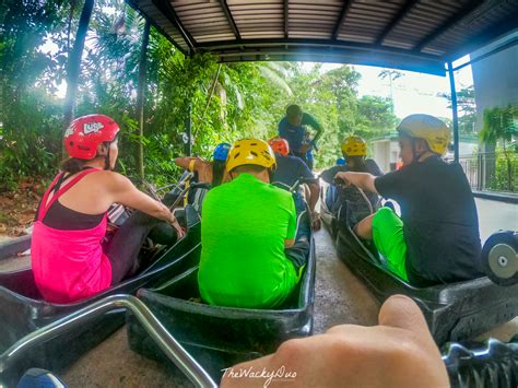 Sentosa Skyline Luge : 5 Reasons why you should ride on the Luge! - TheWackyDuo.com - Singapore ...