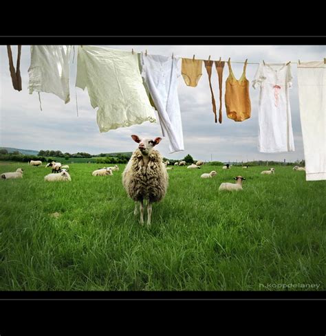 Laundry in Spring | Smell of Spring I love the smell of spri… | Flickr