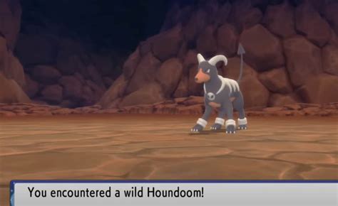 Pokemon BDSP Houndoom Location, How to Evolve, Type and Abilities