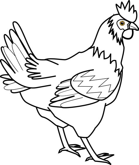 Clipart - chicken line art davidone Chicken