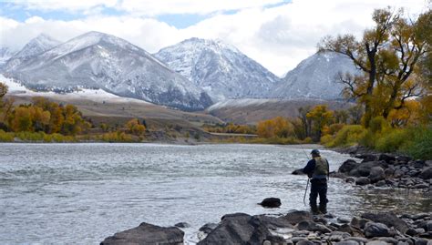 Yellowtone River Fall Fly Fishing Trips - Montana Angling Company