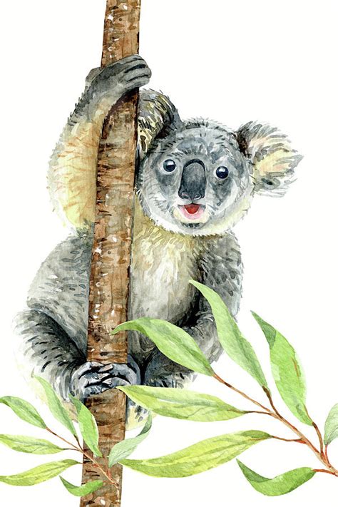 Cute Koala, watercolor nursery decor by Cool Vintage Art | Koala ...