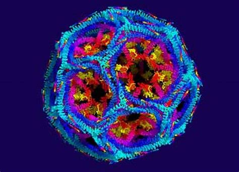 Study: Blocking Clathrin May Inhibit Viral Entry Into Cells – Asian Scientist Magazine