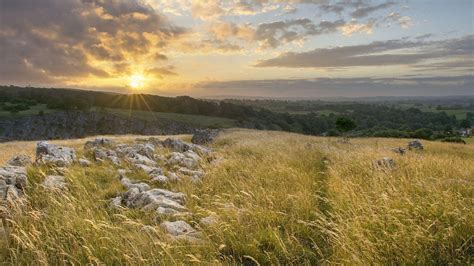 Sunset on the grassy field HD desktop wallpaper : Widescreen : High ...