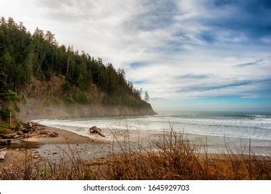 Manzanita Oregon: Over 531 Royalty-Free Licensable Stock Photos | Shutterstock