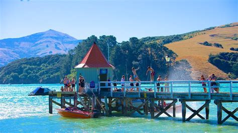 Akaroa Travel Guide 2024: The Best of Akaroa | Expedia