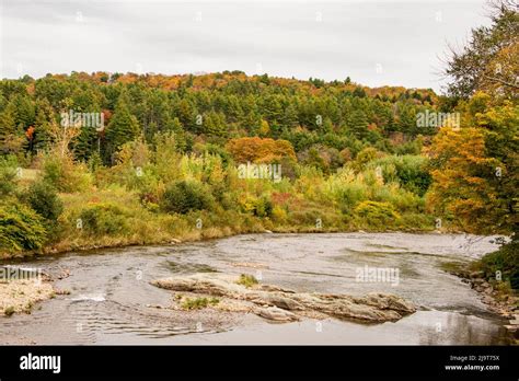 USA, Vermont, Fall foliage in Mad River Valley, south of Waitsfield ...