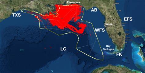BP Oil Spill Impact Area Extended – Lisa Miller Associates