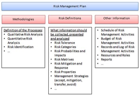 Risk Management Plan