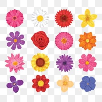 Flower Vector PNG, Vector, PSD, and Clipart With Transparent Background ...