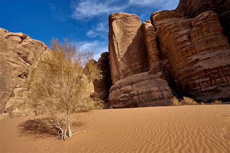 Rock climbing in Wadi Rum 2017 on Behance