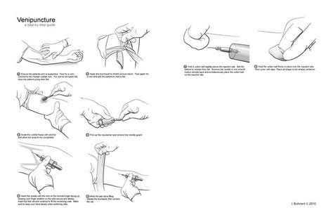 venipuncture procedure steps - Google Search | Phlebotomy, Phlebotomy ...