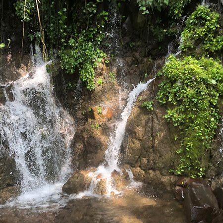 Seven Waterfalls Tour (Juayua) - All You Need to Know BEFORE You Go - Updated 2019 (Juayua, El ...