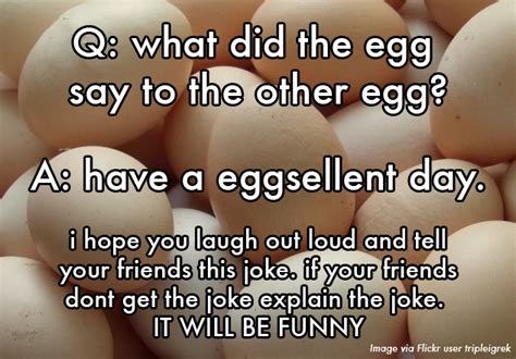 20 Kid-Written Jokes That Are So Bad They're Perfect :: Comedy ...