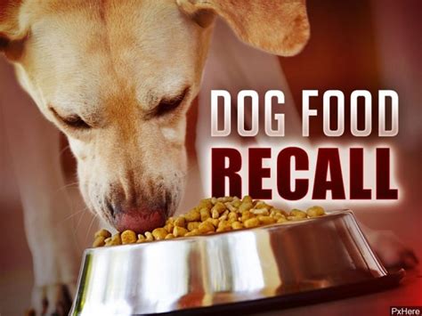 FDA expands recall of pet food after health risk | ABC6