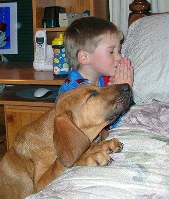 boy and dog praying Blank Template - Imgflip