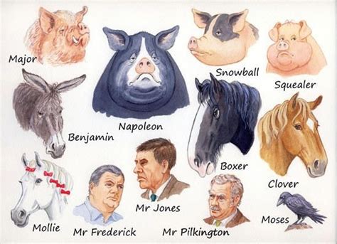 Animal Farm Characters | Animal farm book, Animal farm george orwell, Animal farm novel