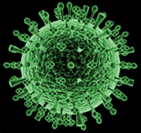 Action Line: H1N1 vaccine for CDCs > Joint Base Elmendorf-Richardson > News