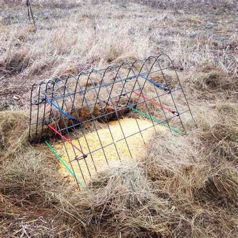 Pin by Joshua J. Cadwell on Antler traps. | The great outdoors, Hunting, Projects to try