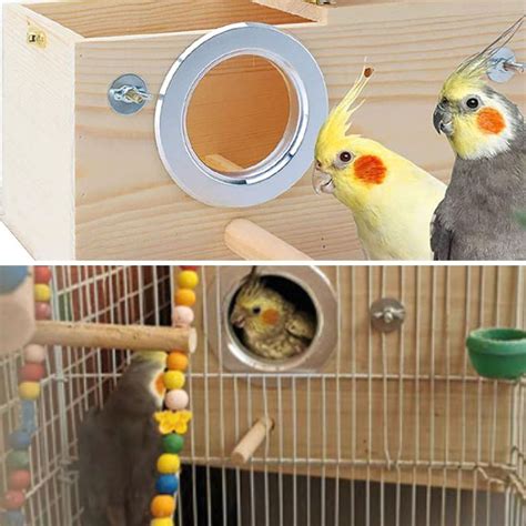 Best 3 Nesting Boxes for Cockatiels