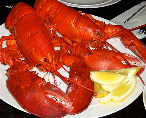 A nice Lobster dinner that won