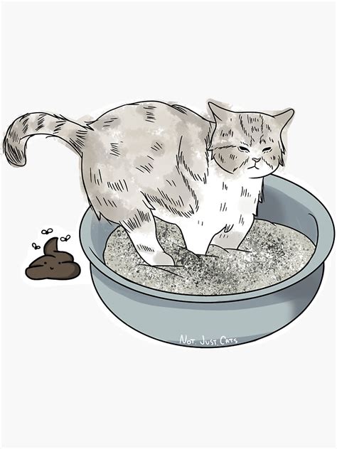 "Cat poop meme" Sticker for Sale by NotJustCats | Redbubble