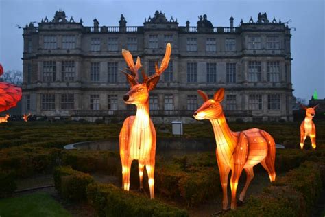 Longleat Festival of Light review - a magical winter experience - Tin ...