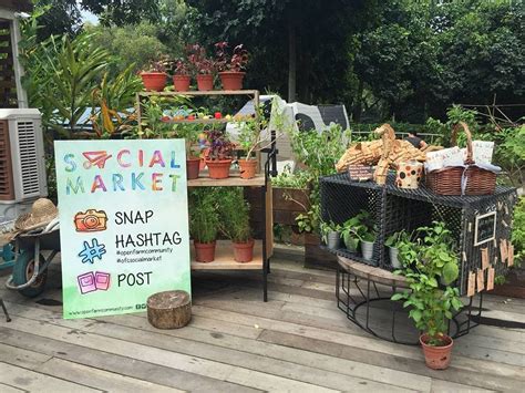 Local Farmers Market Near Me Today | See More...