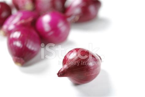 Red Onion Stock Photo | Royalty-Free | FreeImages