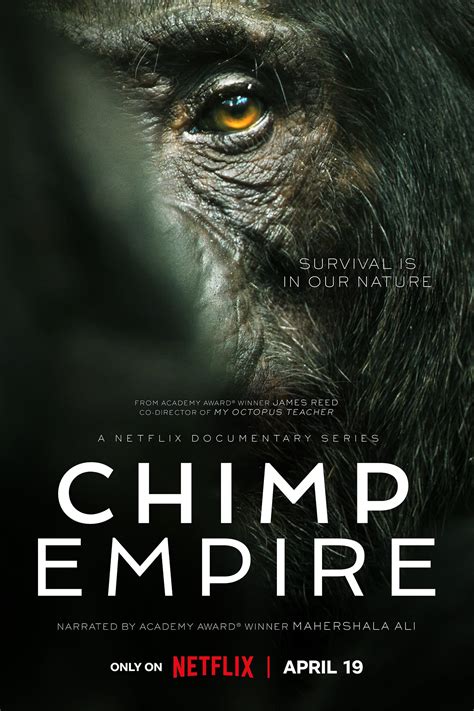 Chimp Empire (TV Series 2023-2023) - Posters — The Movie Database (TMDB)