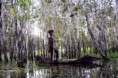 Ten Canoes (2006) - The Screen Guide - Screen Australia