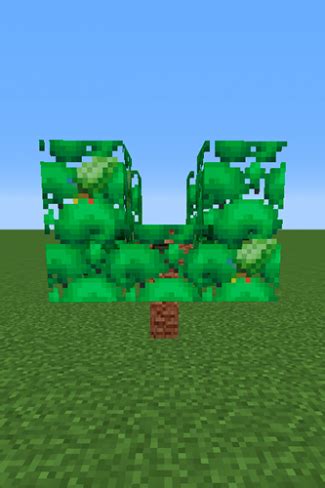 Starf Berry - Pixelmon Wiki