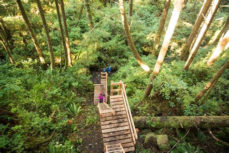 Hikers Prepare To Vie For West Coast Trail Reservations