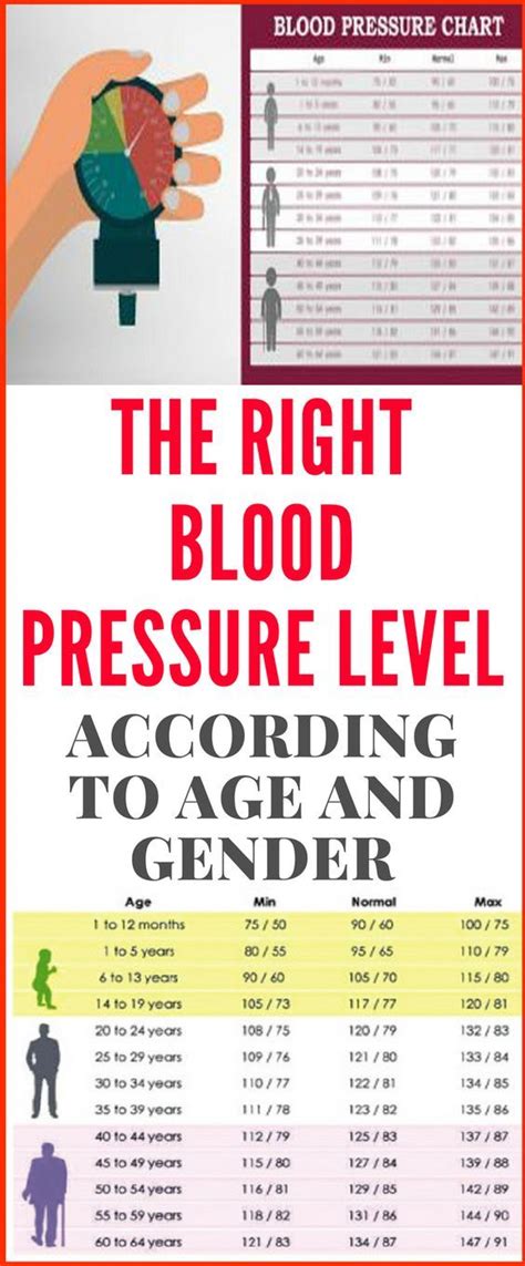 Printable Blood Pressure Chart By Age And Gender