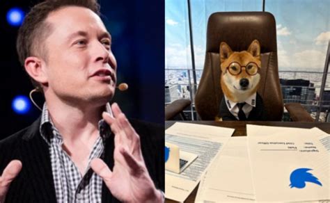 Elon Musk’s Dog Floki Is Twitter CEO | Inquirer Technology