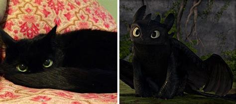 20 Cats That Freakishly Resemble Other Things