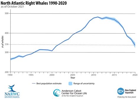 North Atlantic right whale population continues to decline raising ...