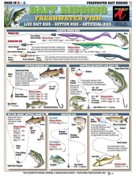 bait rigging | Bass fishing tips, Trout fishing tips, Fishing tips