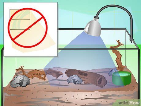 How to Make a Millipede Habitat (with Pictures) - wikiHow