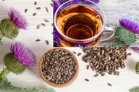 The Complete Milk Thistle Tea Recipe For Wellness Enthusiasts - Best Tea Crafter