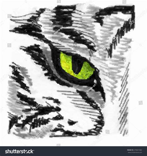 Tiger Eye Sketch Vector Illustration Part Stock Vector 270601682 ...