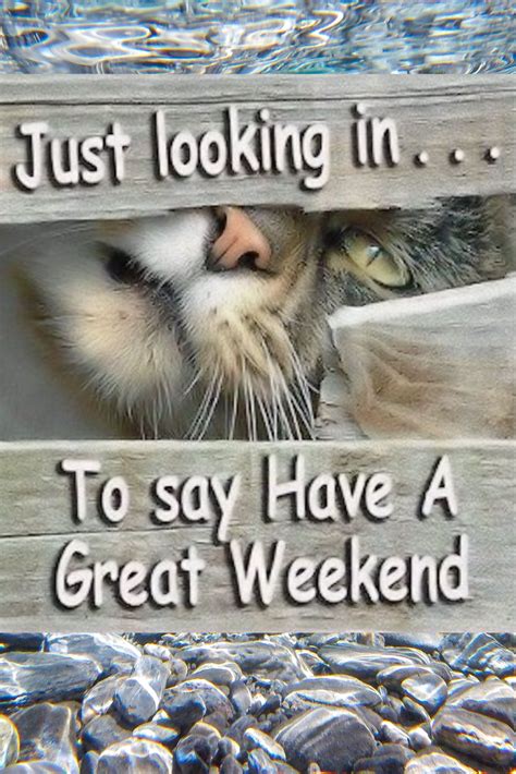 Just looking in... To say Have A Great Weekend! | Happy weekend quotes ...