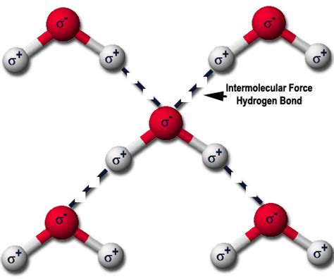 Hydrogen Bonding - Intermolecular Forces