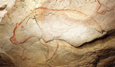 La Grotte Chauvet-Pont d'Arc - Ardèche, France | Cave paintings ...