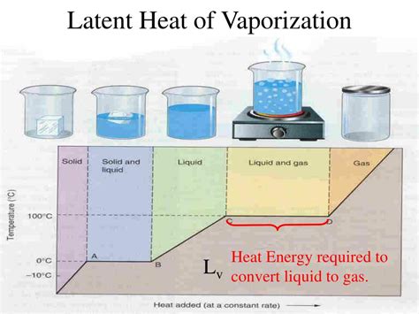 PPT - Heat PowerPoint Presentation, free download - ID:5769198